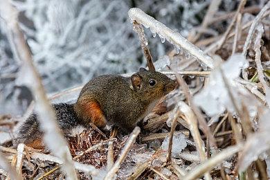 高能电玩节：《师父》将迎来第四个免费大更新