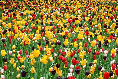 暴雪对《暗黑破坏神4》服务器感觉良好：我们准备好了